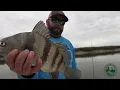 Altamaha River Sportsman - S3 Ep10