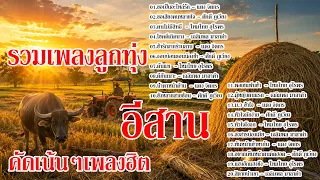 รวมเพลงลูกทุ่งอีสานคันเพลงเก่าเน้นๆ