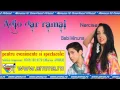 Download Lagu Babi Minune si Narcisa - Adio dar ramai