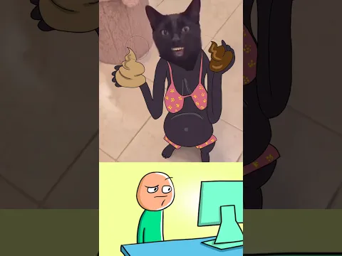 Clapping Cat Funny Meme 😂😂