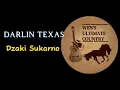 Darlin Texas - Artist Lyrics by Dzaki Sukarno