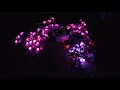 Orchestra Of Lights Christmas 4K unboxing