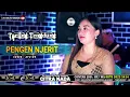 Download Lagu PENGEN NJERIT \\\\ COVER TARLING TENGDUNG CITRA NADA 2023 \\\\ AYU WD