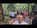 Download Lagu Karyawan Sadbor Joged