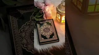 سورة القلم كاملة معاذ صيام دندنها