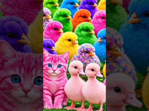 Tangkap Ayam Lucu, ayam warna warni, ayam rainbow, kelinci lucu, bebek lucu, ikan koi, Hewan Lucu