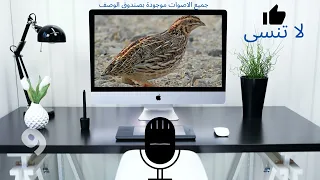   صوت فري سمان       التحميل في صندوق الوصف دندنها