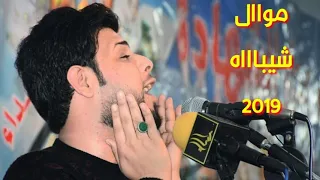 موال شيباه سيد فاقد جديد 2019 موال يكسر الكلب 