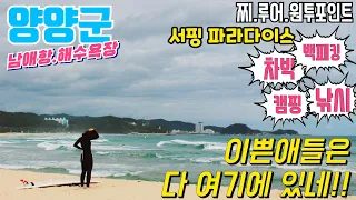 양양 남애항 남애해수욕장 차박 낚시 캠핑 백패킹 서핑 파라다이스 무뉘오징어 시장고등어 감성돔 전어 학꽁치나온다.#낚시 #차박 #캠핑 #여행, #뷰맛집 #서핑 썸네일