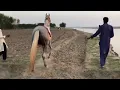 Channel