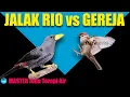 Download Lagu MASTER JALAK RIO RIO VS GEREJA TARUNG Jeda Terapi Air AMPUH