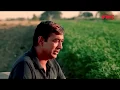 FMC Authority NXT - Best Herbicide for Soybean MP Farmers