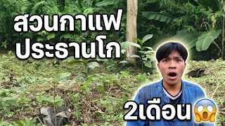 สวนกาแฟประธานโก 2 เดือน14 สิงหาคม ค.ศ. 2026