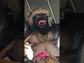 Download Lagu Ogoh Ogoh Denpasar Bali