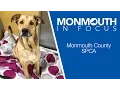 Monmouth County SPCA