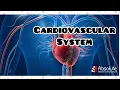 Cardiovascular system CPT Medical Coding for the CPC and CCS Exams - Re-released