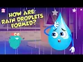 Download Lagu How Are Rain Droplets Formed? | WATER CYCLE | The Dr Binocs Show | Peekaboo Kidz