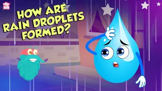How Are Rain Droplets Formed | WATER CYCLE | The Dr Binocs Show | Peekaboo Kidz