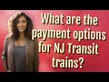 What are the payment options for NJ Transit trains