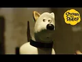 Download Lagu Posh Dog! 🐑 Shaun the Sheep 🐑  - Cartoons for Kids 🐑 Full Episodes Compilation [1 hour]