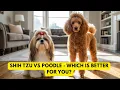 Shih Tzu vs Poodle - Which is Better for You