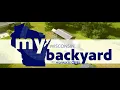 My Wisconsin Backyard Web Series Backyard Chickens