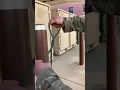 Sapper Knots Tutorial Middle of the Rope Figure Eight Slip Knot