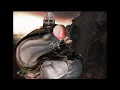 Kratos Fart