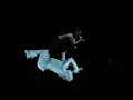 Lorde - Shapeshifter (Live at Frequency Festival, 2026-08-20)