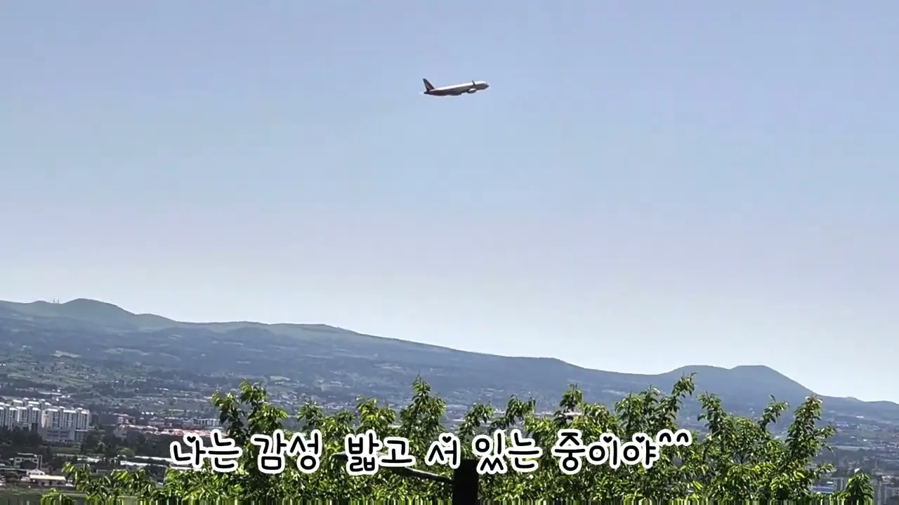 관련 영상 썸네일