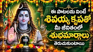ఈ పాటలను వింటే శివయ్య కృపతో మీ జీవితంలో శుభమార్గాలు తెరుచుకుంటాయి | Lord Shiva Bhakti Songs