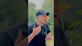 عتابا سلطنة كاملة محمد صالح الشيخ 