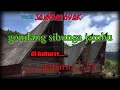 Download Lagu GONDANG BATAK SI BUNGA JAMBU