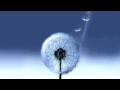 Download Lagu Over the Horizon - Samsung Galaxy S3