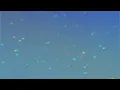 Paradisio - Sum Wave