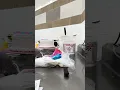 Albertsons Decorator 2024