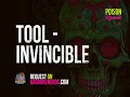 TOOL - Invincible [Karaoke version]