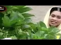 Hetty Koes Endang - Surga & Neraka (Remastered Audio)