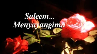 Download Saleem - Menyayangimu (Lirik) MP3