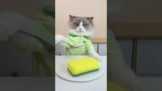 It S Boring Hack Day With Puff Which Is Your Favorite Thatlittlepuff Puffknowsbetter 