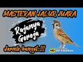 Lagu Jernih pool ! MASTERAN GEREJA TARUNG KONSLET NGEROL PANJANG❗
