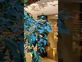 Free Your Mind THE ReTREAT SPA