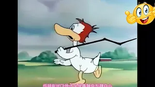 funny cartoon hasi naaa rukhi gii in hindi dubbed 2025 new cartoon