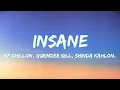 INSANE (Lyrics) Ap Dhillon & Gurinder Gill - ft. Shinda Kahlo