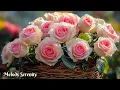 Download Lagu Powerful music for the soul🌺 I cried listening to this song when my soul was tired🌿