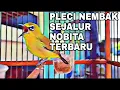Lagu MASTERAN PLECI TEMBAKAN NOBITA TERBARU