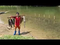 Download Lagu Ancient fishing techniques, the Bac boy used bamboo tubes to catch big fish in a large stream.