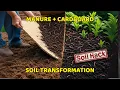 Download Lagu What Really Happens When You Layer Manure Under Cardboard Mulch