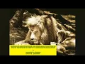 TONY Q RASTAFARA Ft STEVEN COCONUT - DON'T WORRY