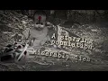 HAIL OF BULLETS - Red Wolves Of Stalin (Official Lyric Video)